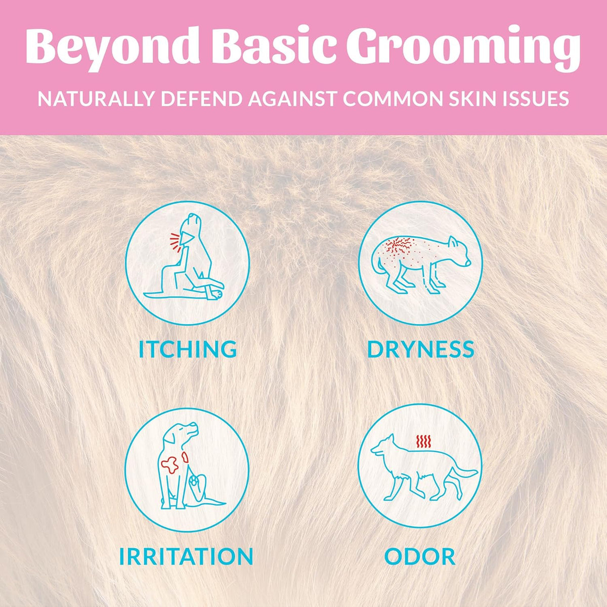 Skout's Honor Probiotic Dog Shampoo & Conditioner with Avocado Oil & Omega-3s, 97% Natural, Paraben