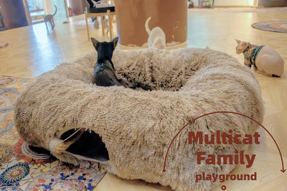 XxingSheep XL Cat Tunnel with Bed for Indoor Cats Peekaboo Cat Cave Donut Toy with Warm