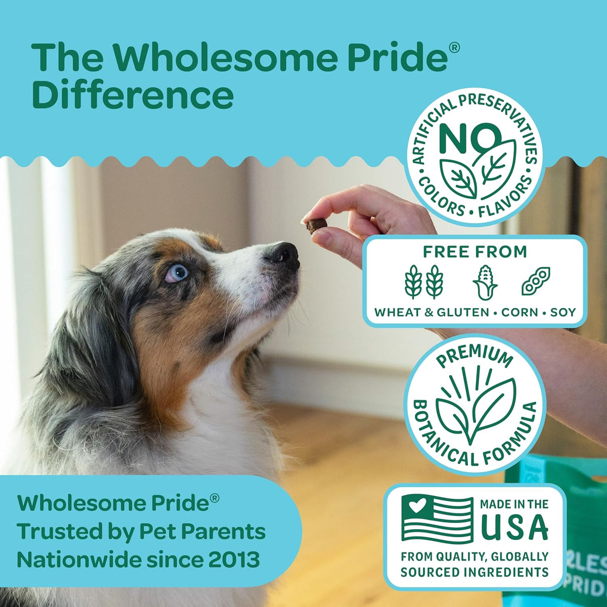 Wholesome Pride Calming Supplement for Dogs - 90 Soft Chews - Natural Anxiety Relief, Separation &