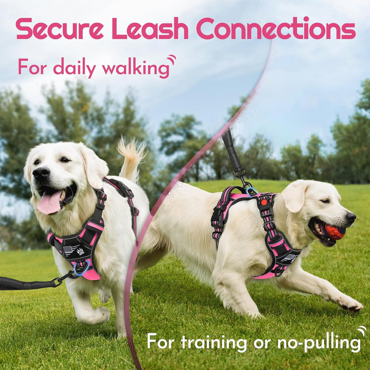 Eagloo Dog Harness for Large Dogs, Easy Wearing with 3 Buckles, Adjustable No Pull Pet Harness with