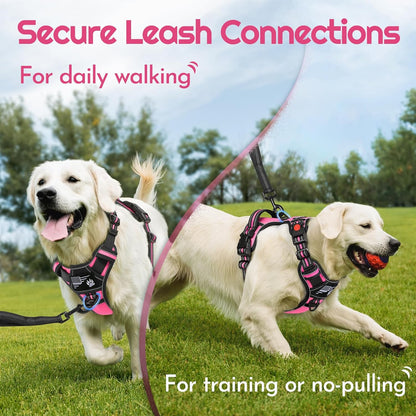 Eagloo Dog Harness Small Sized, Easy Wearing with 3 Buckles, Adjustable No Pull Pet Harness with 2