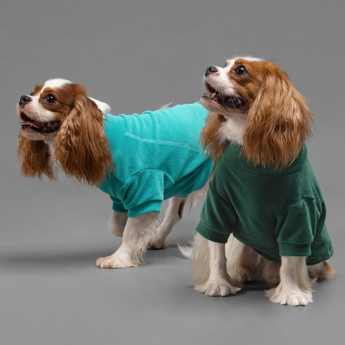 Fitwarm 3 Pack Fleece Dog Sweater, Turtleneck Dog Sweatshirt, Dog Winter Clothes for Small Dogs Boy