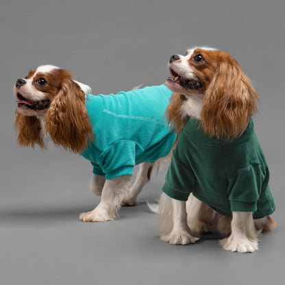 Fitwarm 3 Pack Fleece Dog Sweater, Turtleneck Dog Sweatshirt, Dog Winter Clothes for Small Dogs Boy