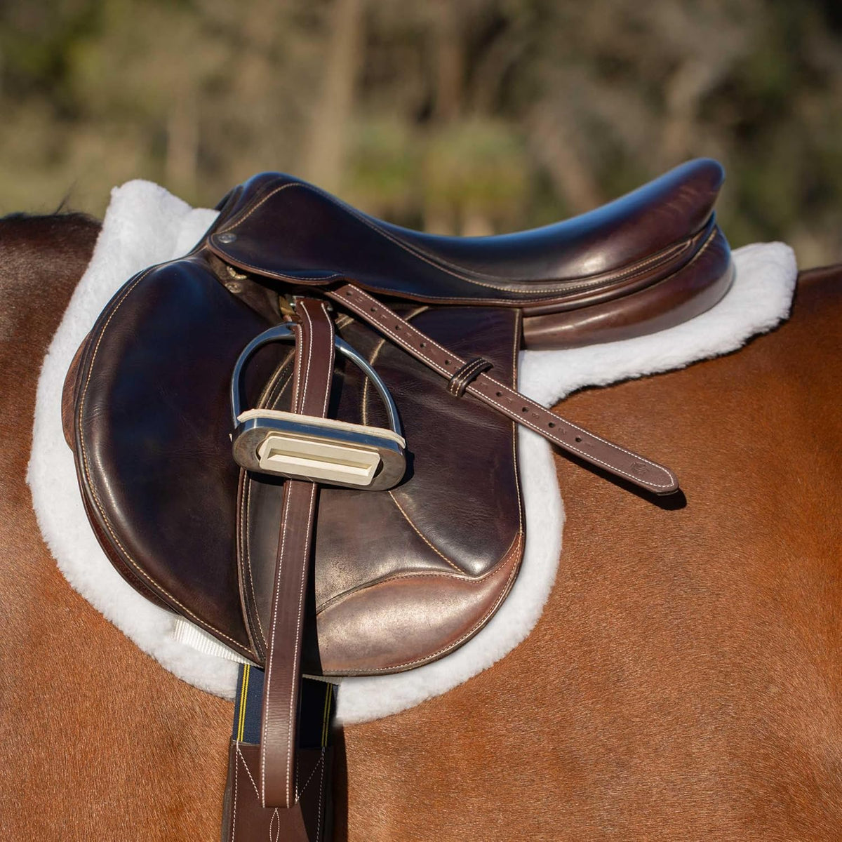 Equinavia Eidsvoll Close Contact English Saddle Pad | Horse Saddle Pad with Shock Absorbing Fleece