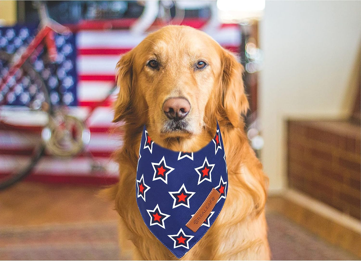 Realeaf American Flag Dog Bandanas 2 Pack, Triangle Reversible 4th of July Pet Scarf for Boy and