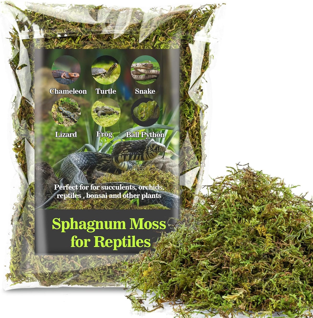 Sukh Sphagnum Moss for Reptiles - Terrarium Reptiles Moss Green Dried Peat Moss Habitat Bedding