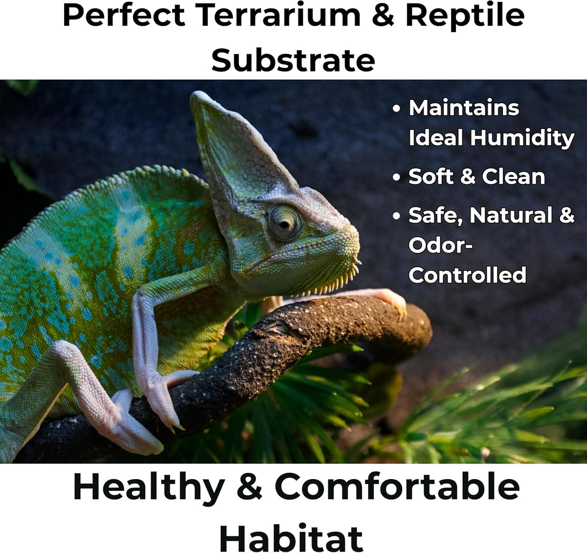 Peat Moss for Plants – Organic Sphagnum Peat Moss for Orchids, Terrariums, Seed Starting, Reptiles