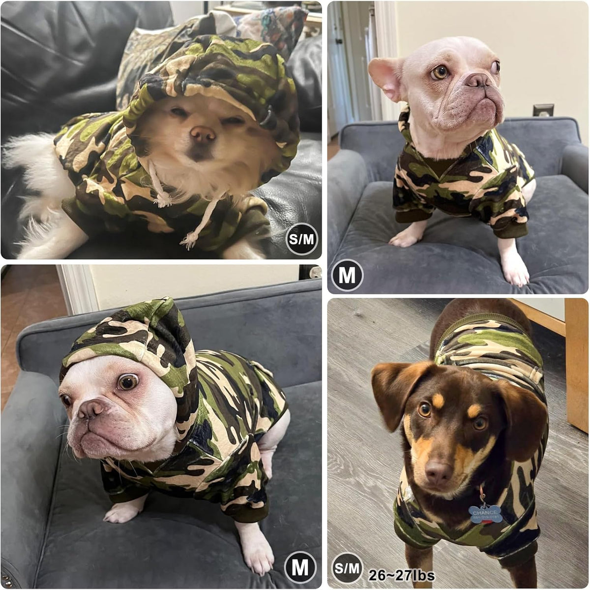BEAUTYZOO Dog Hoodie for Small Medium Dogs Puppy, Soft Fleece Dog Sweater Cold Weather Coats with