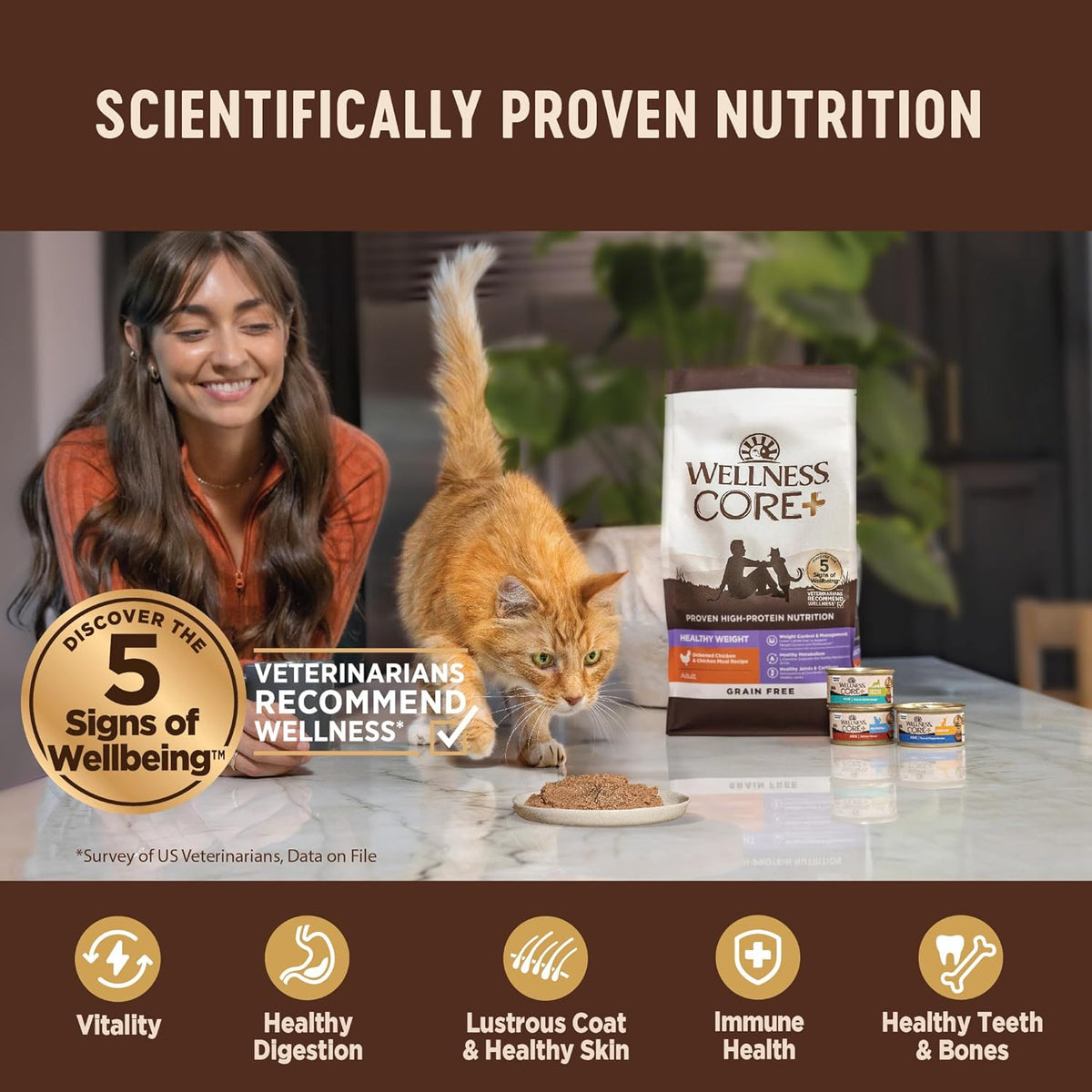 Wellness CORE+ Skin & Coat Pate Adult Wet Cat Food, Natural, Protein-Rich, Grain Free, 2.8 Ounce