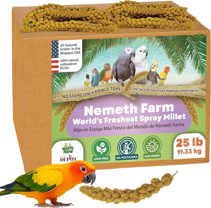 Nemeth Farms- GMO-Free Sun Dried Spray Millet | (No Stems Only Edible Tops) The Original Bird Treat