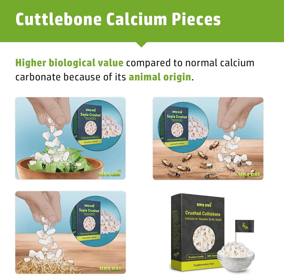 Crushed - 100% Natural Calcium Supplement - Premium Cuttlebone Perfect for Birds, Tortoises