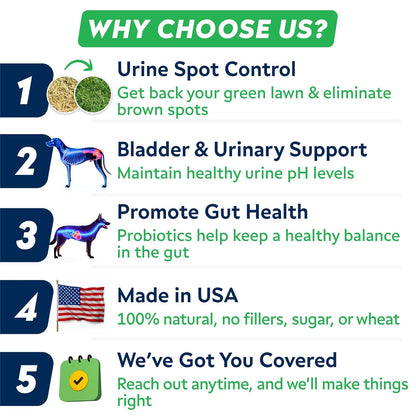 STRELLALAB Green Grass Dog Chews - Dog Pee Grass Helper - Supplement Urine Neutralizer for Grass