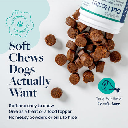 Veterinary Formula Gut Health Supplement for Dogs – Vet-Formulated Probiotic Chews with Digestive
