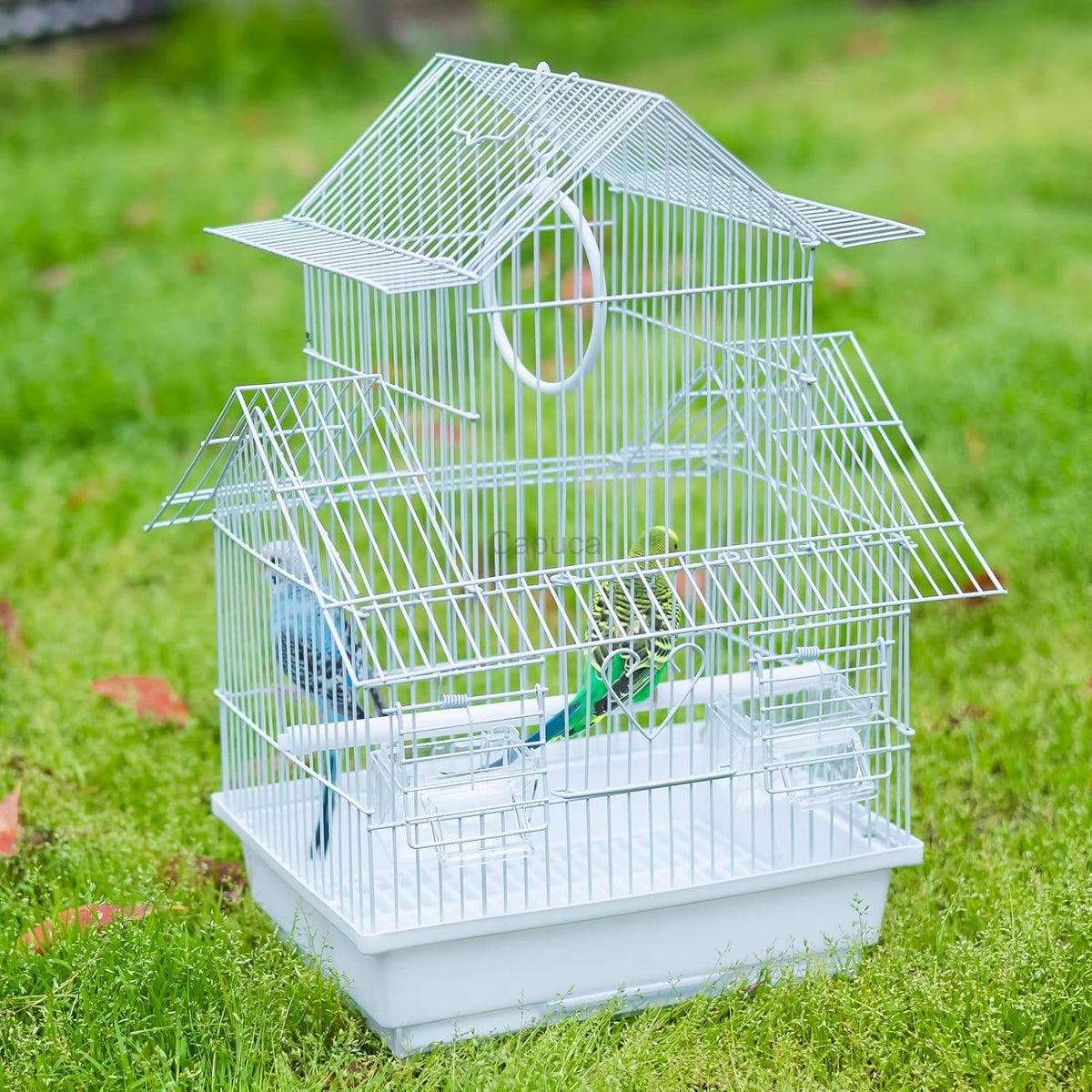 Small Bird Travel Cage - The Lightweight Small Birds Starter Kit with Birdcages and Accessories