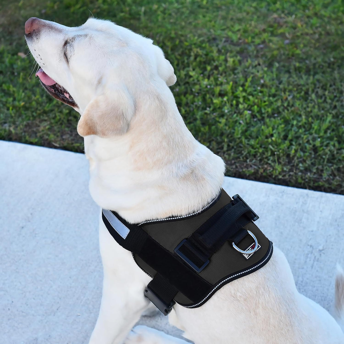 Dogline Dog Harness, Reflective No-Pull Adjustable Vest with Handle for Walking, Training
