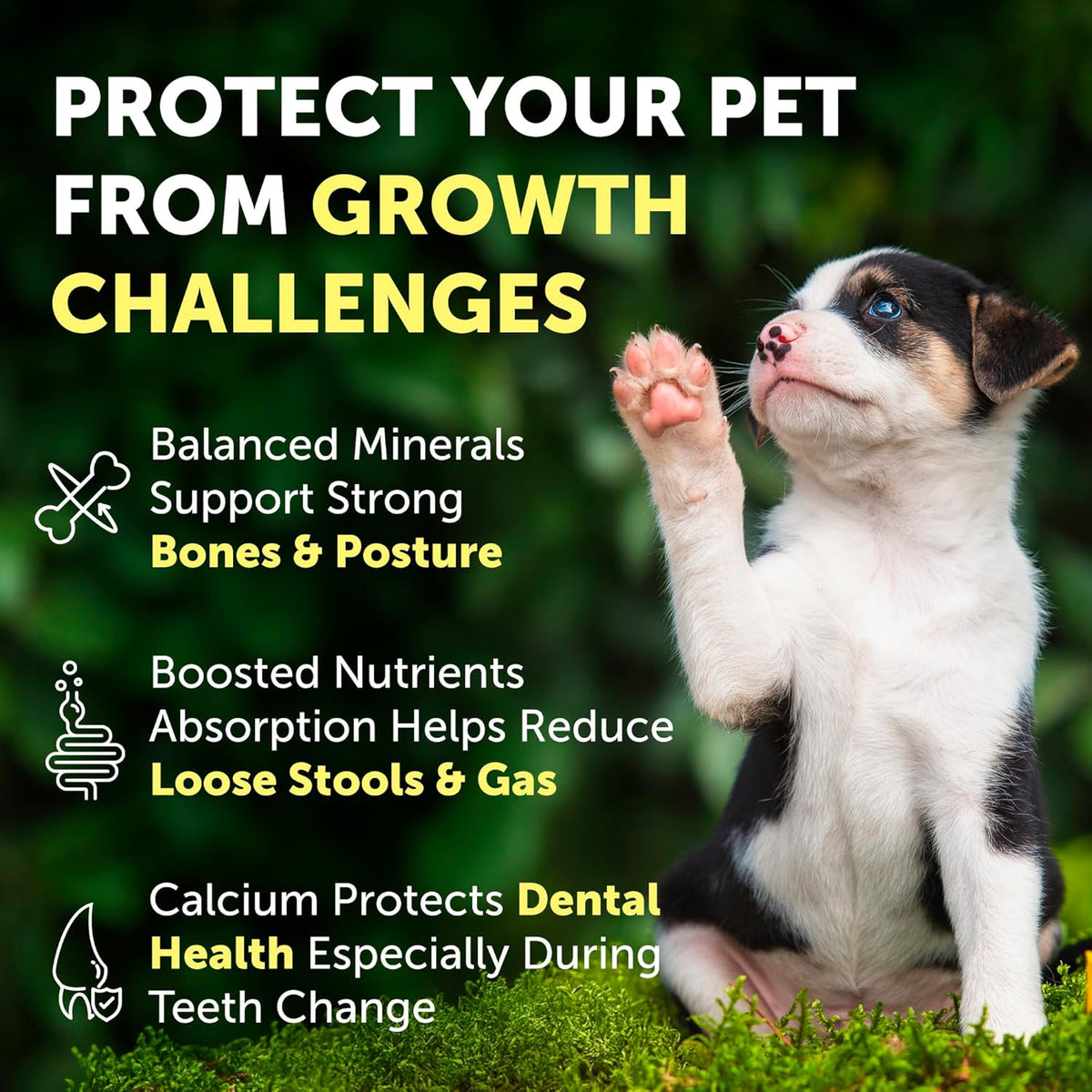 Nature's Protection Hip Joint Supplement for Dogs - Puppy Healthy Growth Mineral Supplements with
