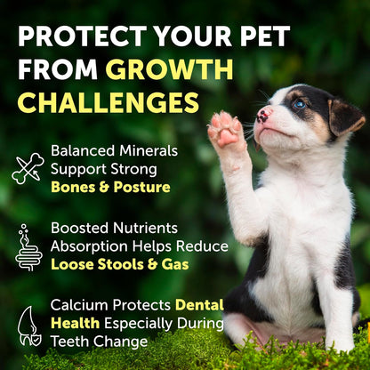 Nature's Protection Hip Joint Supplement for Dogs - Puppy Healthy Growth Mineral Supplements with