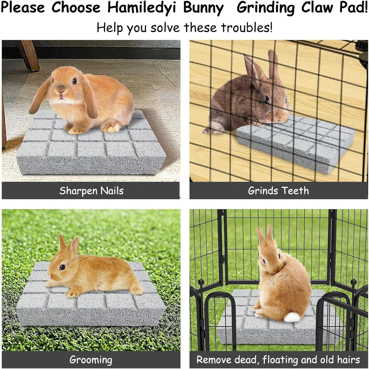 Hamiledyi 4PCS Rabbit Scratching Pads Bunny Lava Grinding Claw Pads Small Animal Foot Pads Hamster