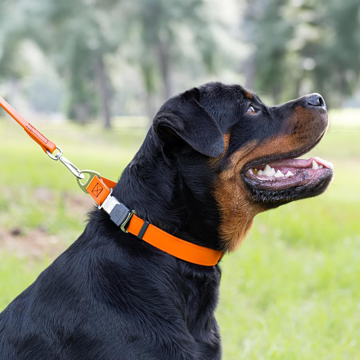 Dogline Biothane Waterproof Dog Collar with Herm Sprenger Black Stainless Steel Quick Release