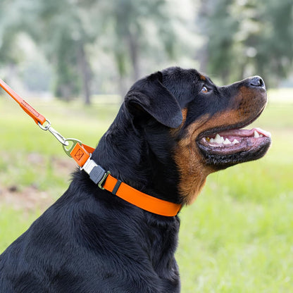Dogline Biothane Waterproof Dog Collar with Herm Sprenger Stainless Steel Quick Release Buckle
