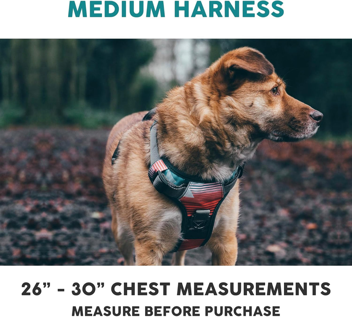 Embark Adventure Dog Harness, Reflective Trim No Pull Dog Harness Medium Sized Dogs - Military