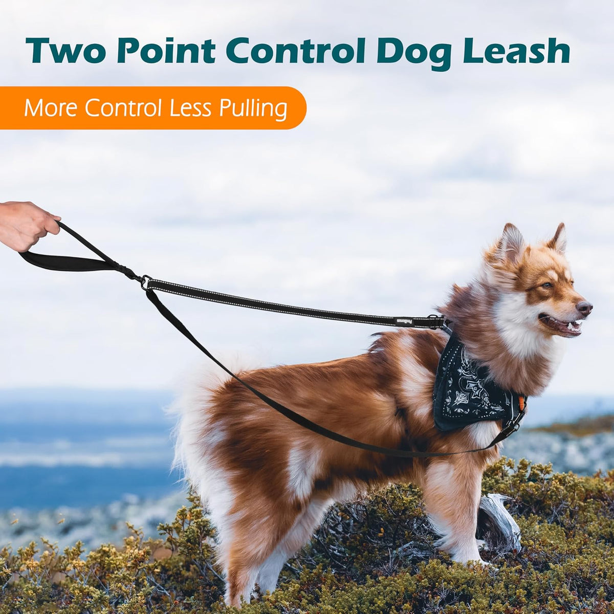 PetBonus Two Point Control Dog Leash, Works with No Pull Harnesses, No Tangle Training Leashes