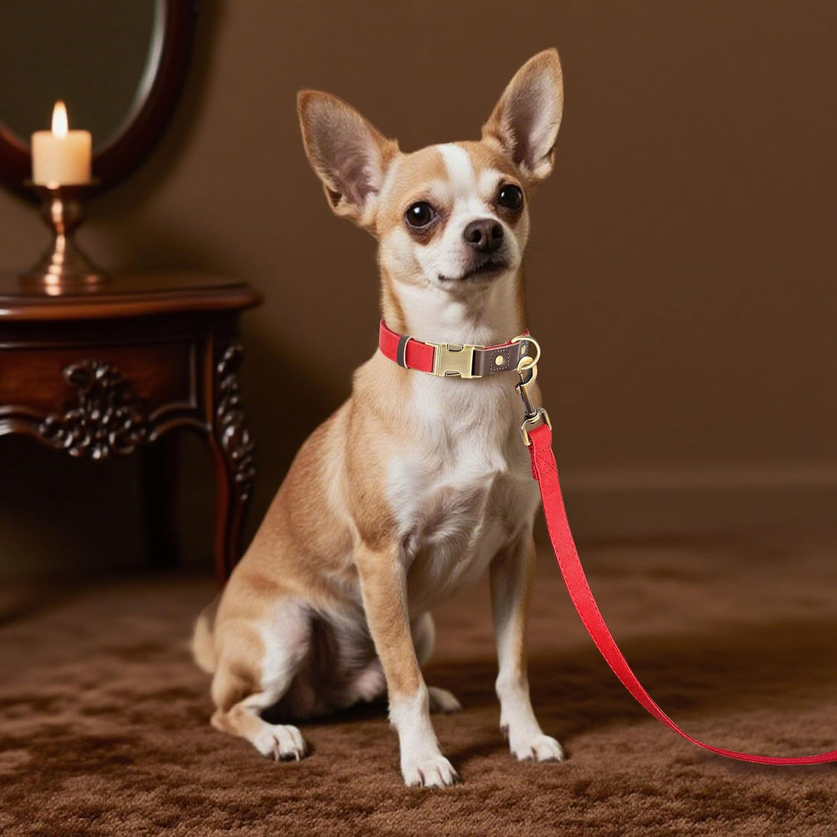 Didog Soft PU Leather Dog Collars for Small Dogs,Classic Adjustable Dog Collars with Quick Release