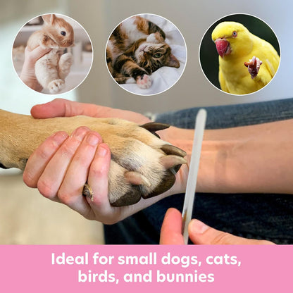 Bona Fide Beauty Pet Nail File with Swarovski Paw Print, Small Dog File Made from Genuine Czech