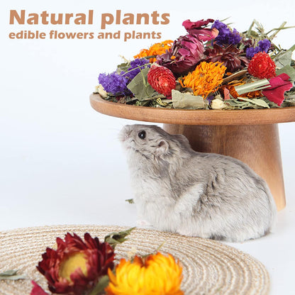 Natural Ear of Grain Flower&Herb Bedding Mate Habitat Decor, Adding Fun Hamster Accessories for