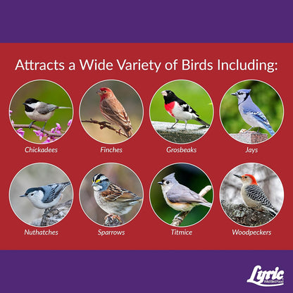 Lyric Delite Wild Bird Seed - No Waste Bird Food Mix with Shell-Free Nuts & Seeds - Attracts