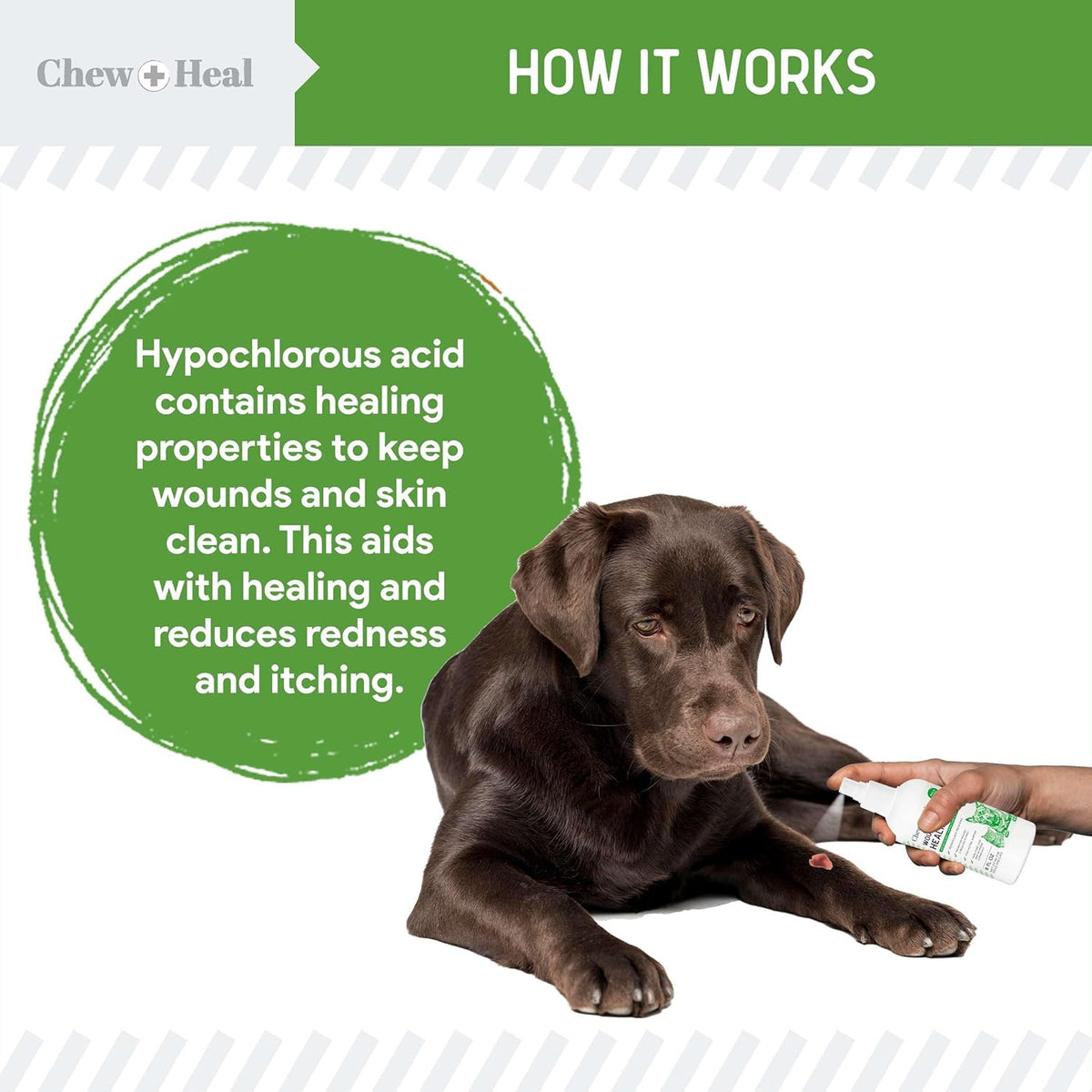 Hypochlorous Acid Spray for Dogs ??4oz Dog Wound Spray for Cuts, Burns, Sores, Abrasions, and More