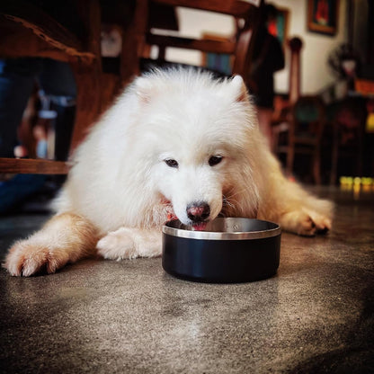 IKITCHEN Dog Bowl for Food and Water, 40 Oz Stainless Steel Pet Feeding Bowl, Durable Non-Skid