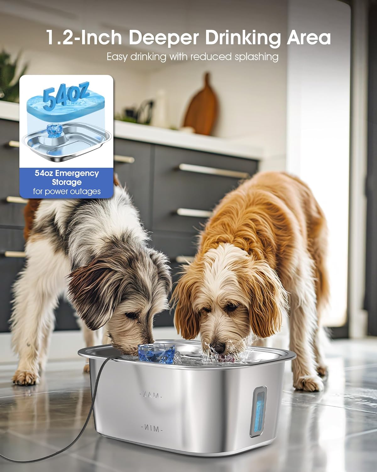 Dog Water Fountain for Large Dogs - 3 Gallon Stainless Steel Dog Water Bowl Dispenser with 4