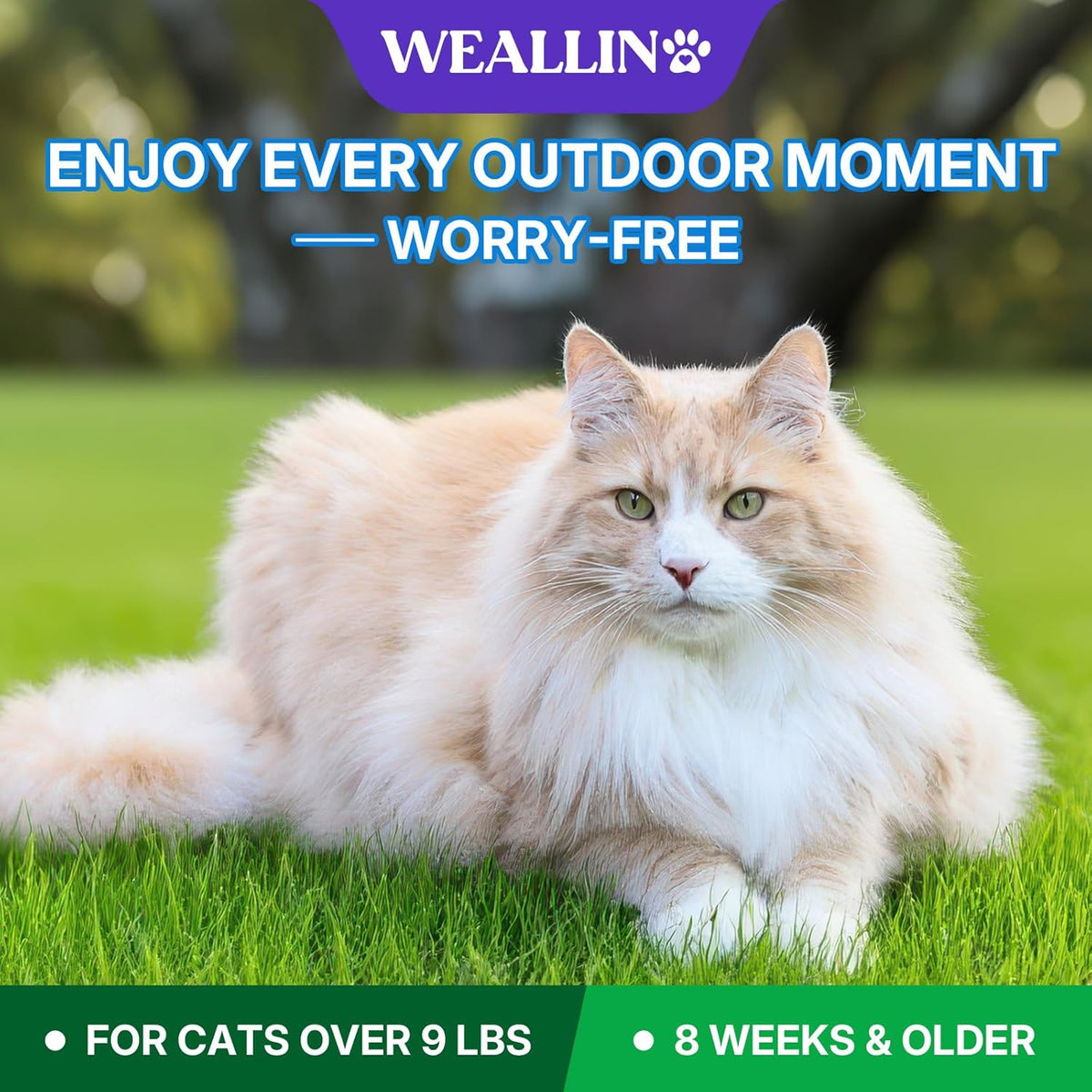 Flea and Tick Prevention for Large Cat, Fleas and Ticks Treatment for Cats Over 9 lbs, Topical Cat