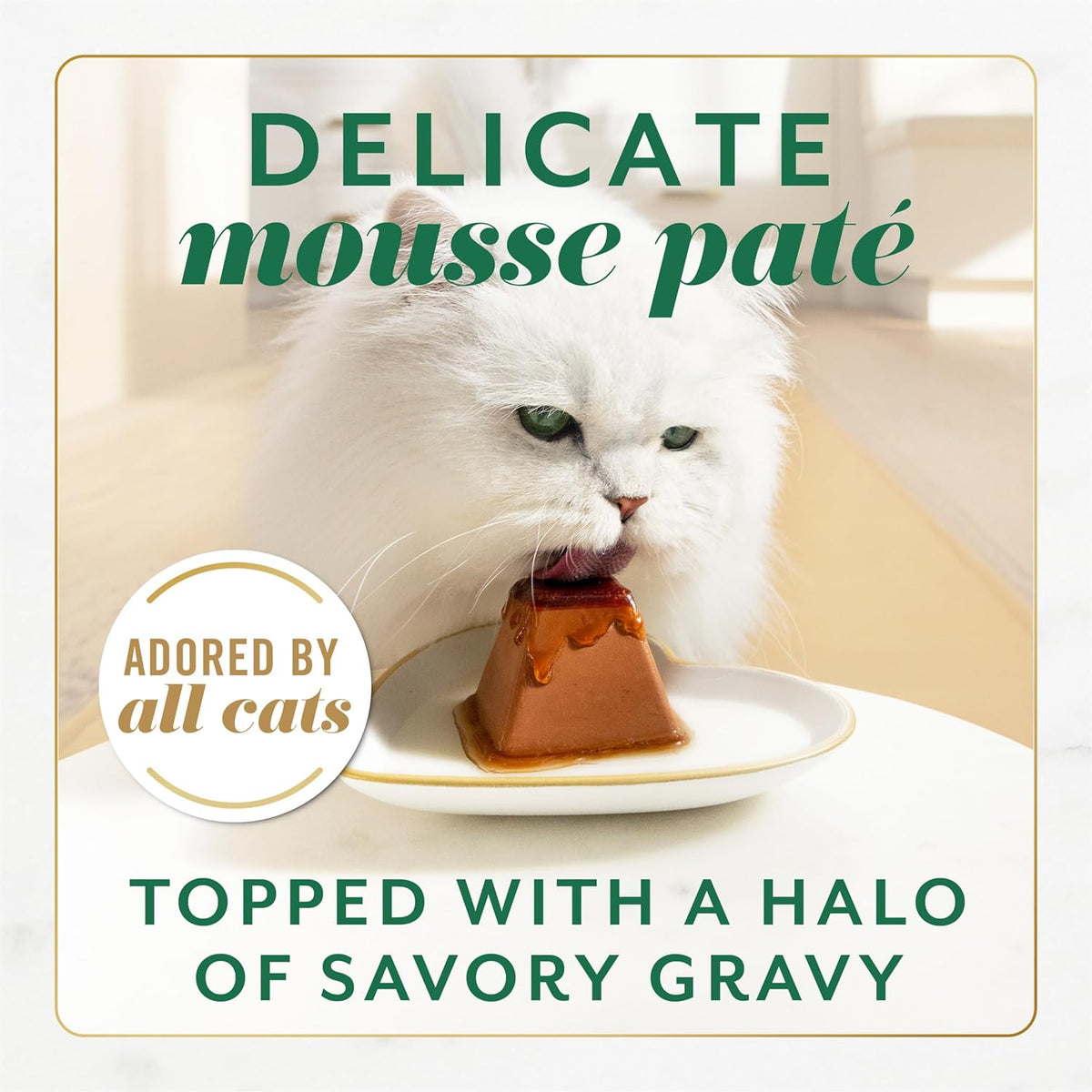 Fancy Feast Gems Pate Cat Food Mousse With Chicken and a Halo of Savory Gravy Cat Food - (Pack of