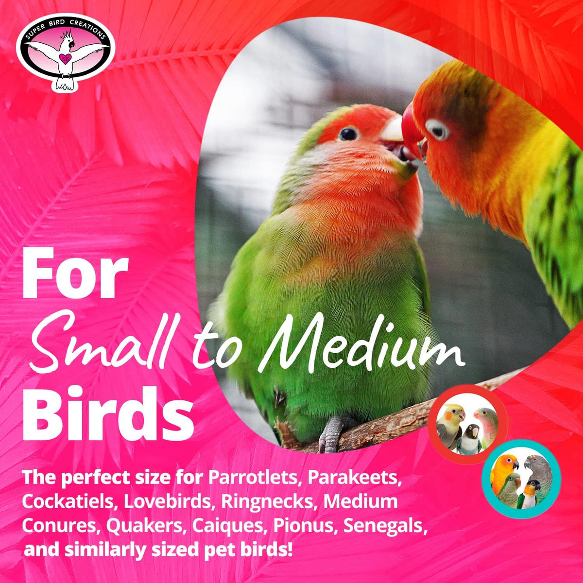 Super Bird Creations SB1152 Sure-Grip Grooming Perch for Small/Medium Birds - Enriches Beak and