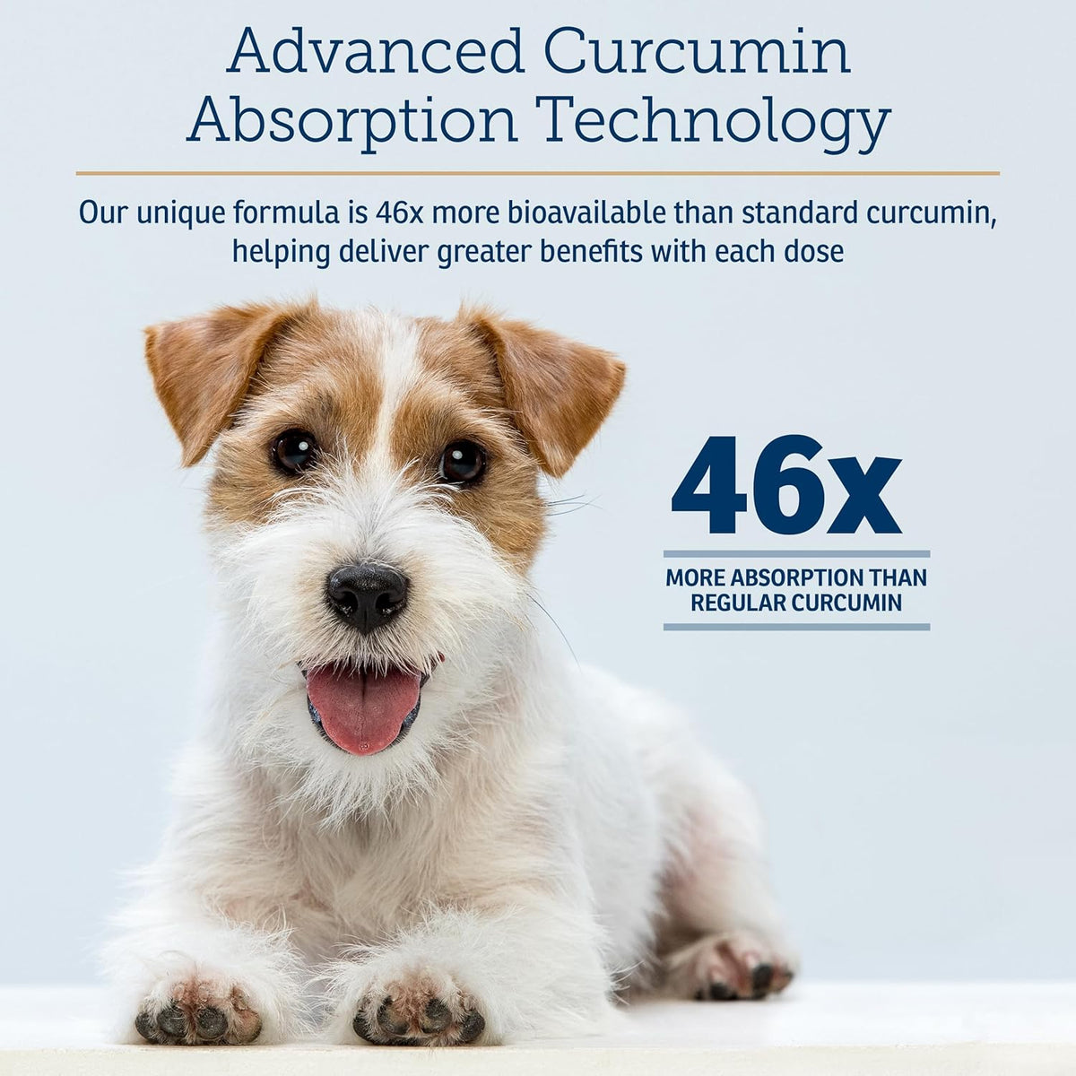 Rx Vitamins CurcuWIN - Curcumin for Dogs & Cats - Vitamins and Supplements, Allergy Relief