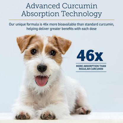 Rx Vitamins CurcuWIN - Curcumin for Dogs & Cats - Vitamins and Supplements, Allergy Relief