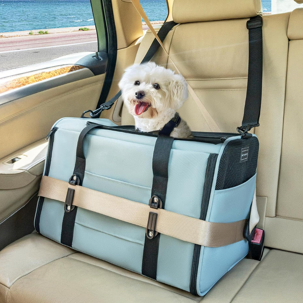Petsfit Pet Carrier for Large and Medium Cats, Large Capacity Lightweight Soft-Sided Pet Carrier
