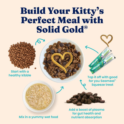 Solid Gold Wet Cat Food Shreds in Gravy - Healthy Canned Cat Food Made w/Real Chicken & Pumpkin