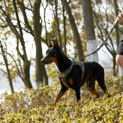 BUMBIN Tactical Dog Harness for Large Dogs No Pull, Famous TIK Tok No Pull Dog Harness, Fit Smart