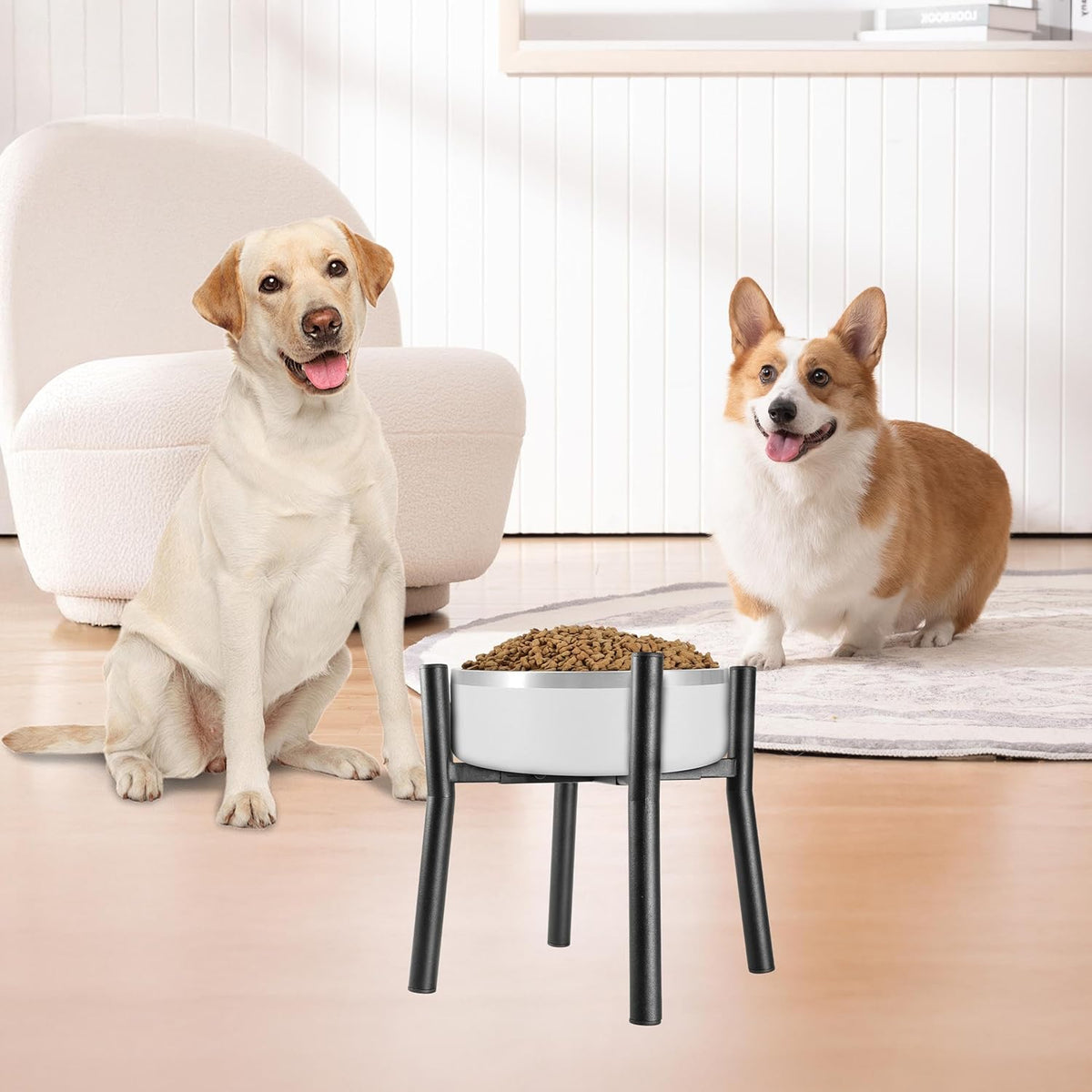 Lifted Dog Bowl Stand - Without Bowls, Single Raise Pet Food Table Adjustable Wide 7-11", Tall 12"
