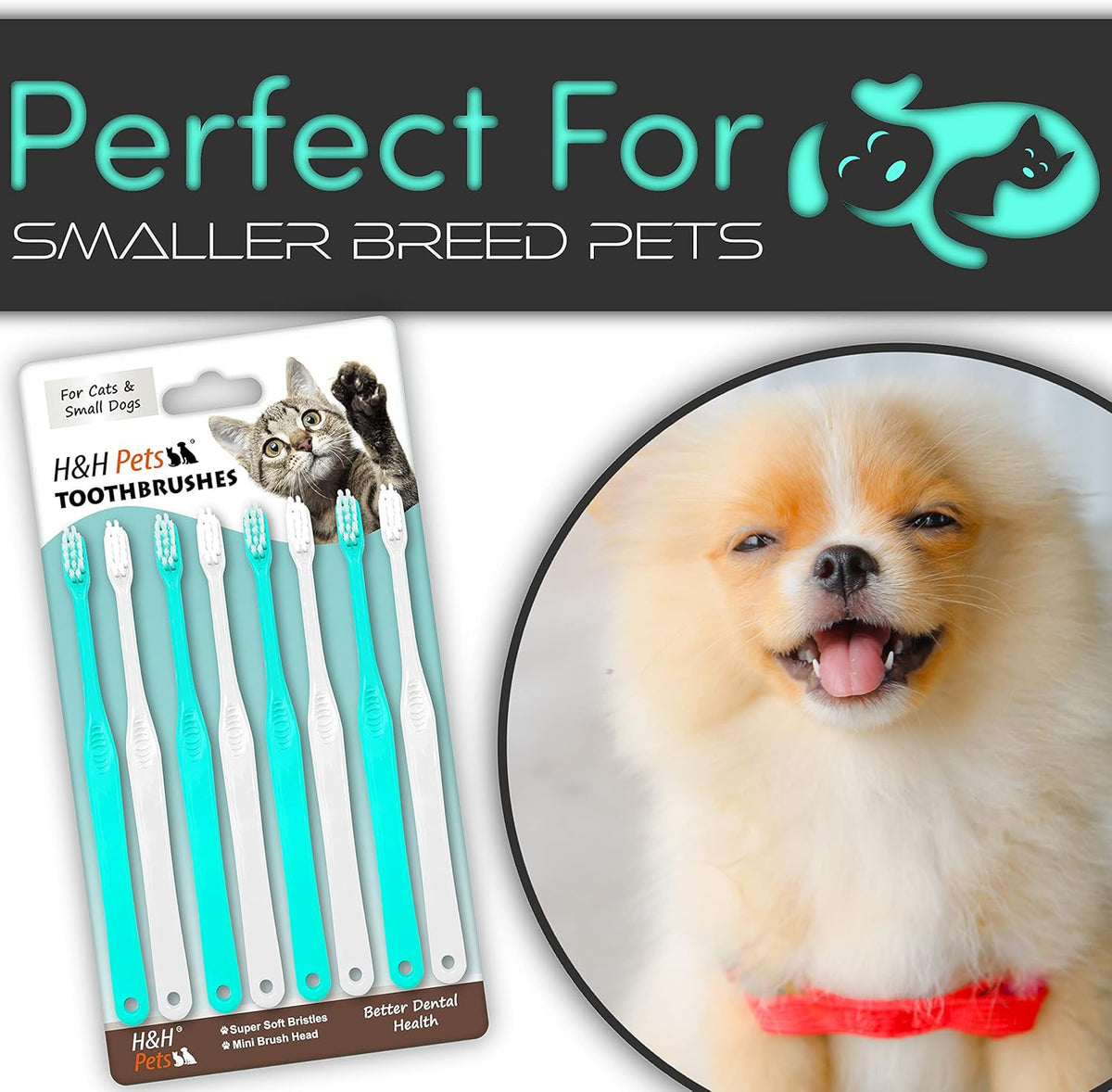 H&H Pets Toothbrush for Small Dogs & Cats - Soft and Extra Small Toothbrush Designed for Cats