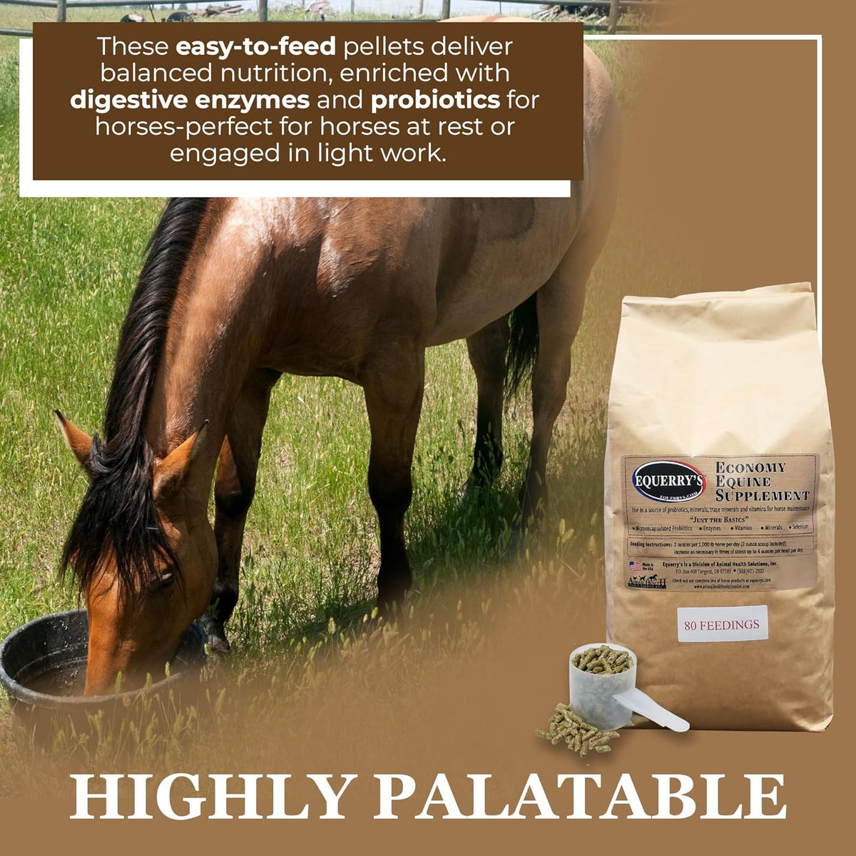 Equerry's Economy Equine Supplement - Horse Probiotics | Supplement for Horses | Horse Vitamins and