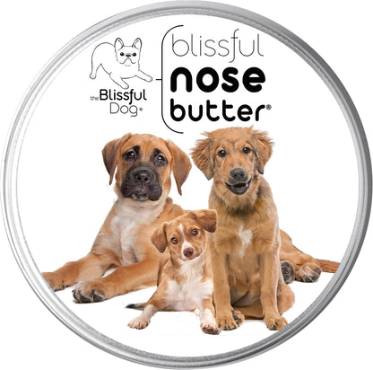 The Blissful Dog 3 Cute Puppies Nose Butter, Versatile Dog Nose Balm for Dry Nose, Handcrafted Nose