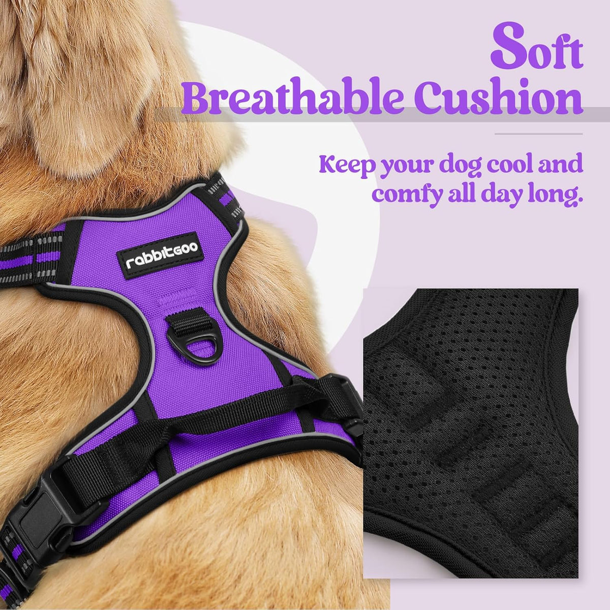 rabbitgoo Dog Harness No Pull with 2 Leash Clips, Adjustable Soft Padded, Reflective Oxford No