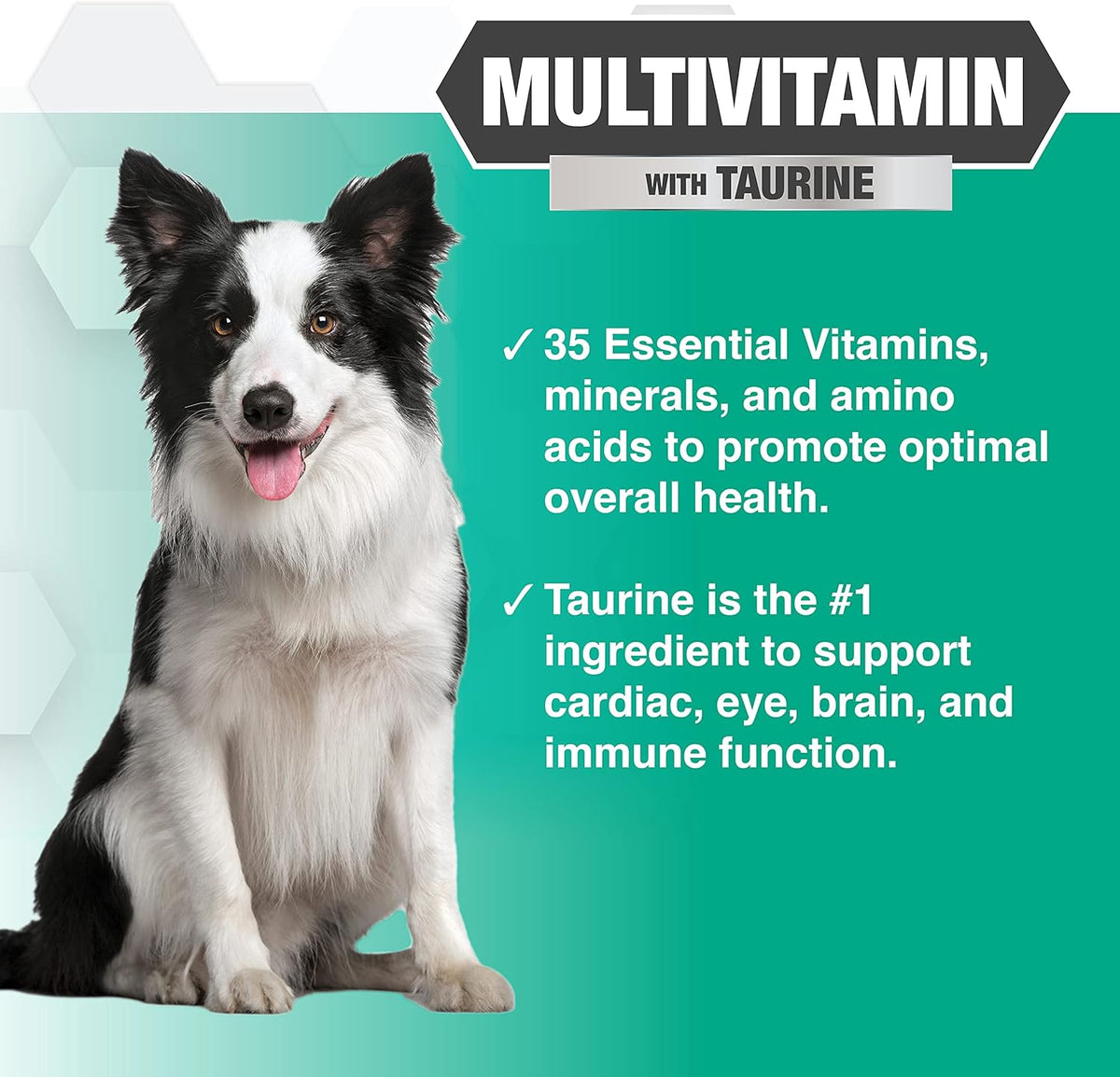 Nootie PROGILITY Daily Multivitamin Chews for Dogs - Supports Immunity, Heart, Eye, Brain, and Bone