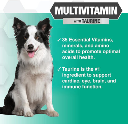 Nootie PROGILITY Daily Multivitamin Chews for Dogs - Supports Immunity, Heart, Eye, Brain, and Bone