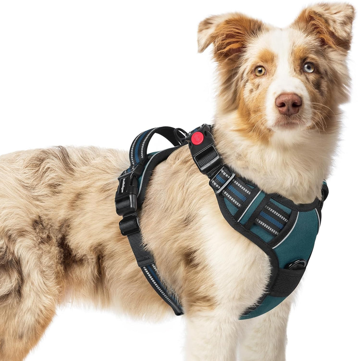 rabbitgoo Dog Harness Medium Sized, No Pull Pet Harness with 3 Buckles, Adjustable Soft Padded Vest