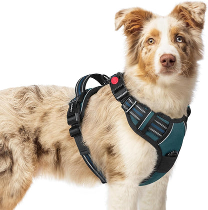 rabbitgoo Dog Harness Medium Sized, No Pull Pet Harness with 3 Buckles, Adjustable Soft Padded Vest